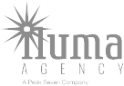 iluma-gray